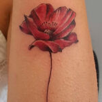 Cover Up 2 Tatuaggio cover up. fiore rosso